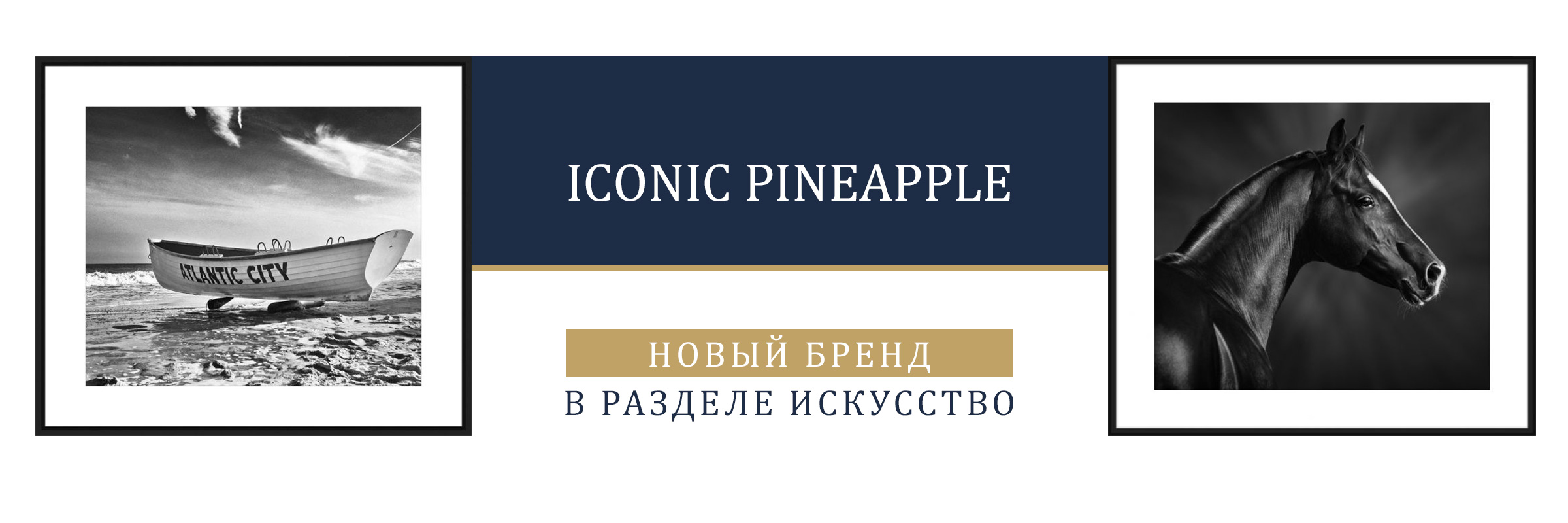 Iconic Pineapple